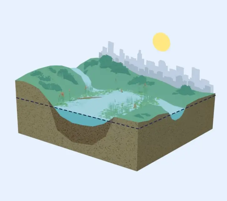 Illustrated cross-section of a wetland beside a city