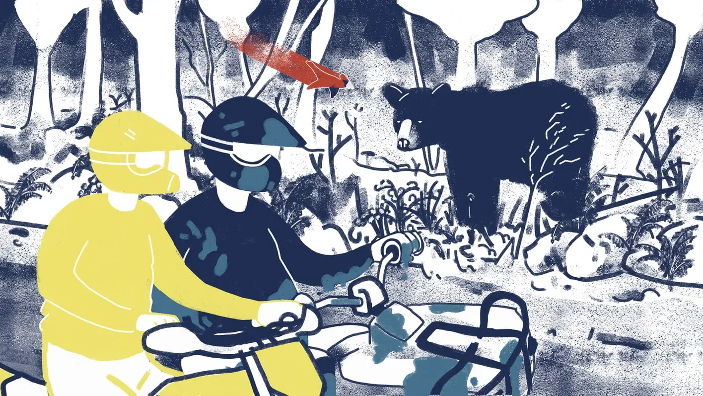 Finished illustration of two riders on an ATV with a bear in the woods