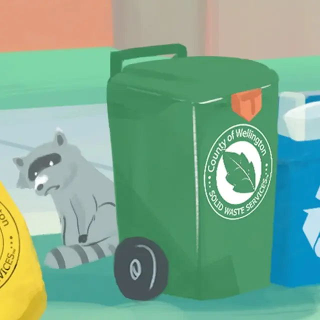 Illustrated raccoon beside a green County of Wellington waste cart